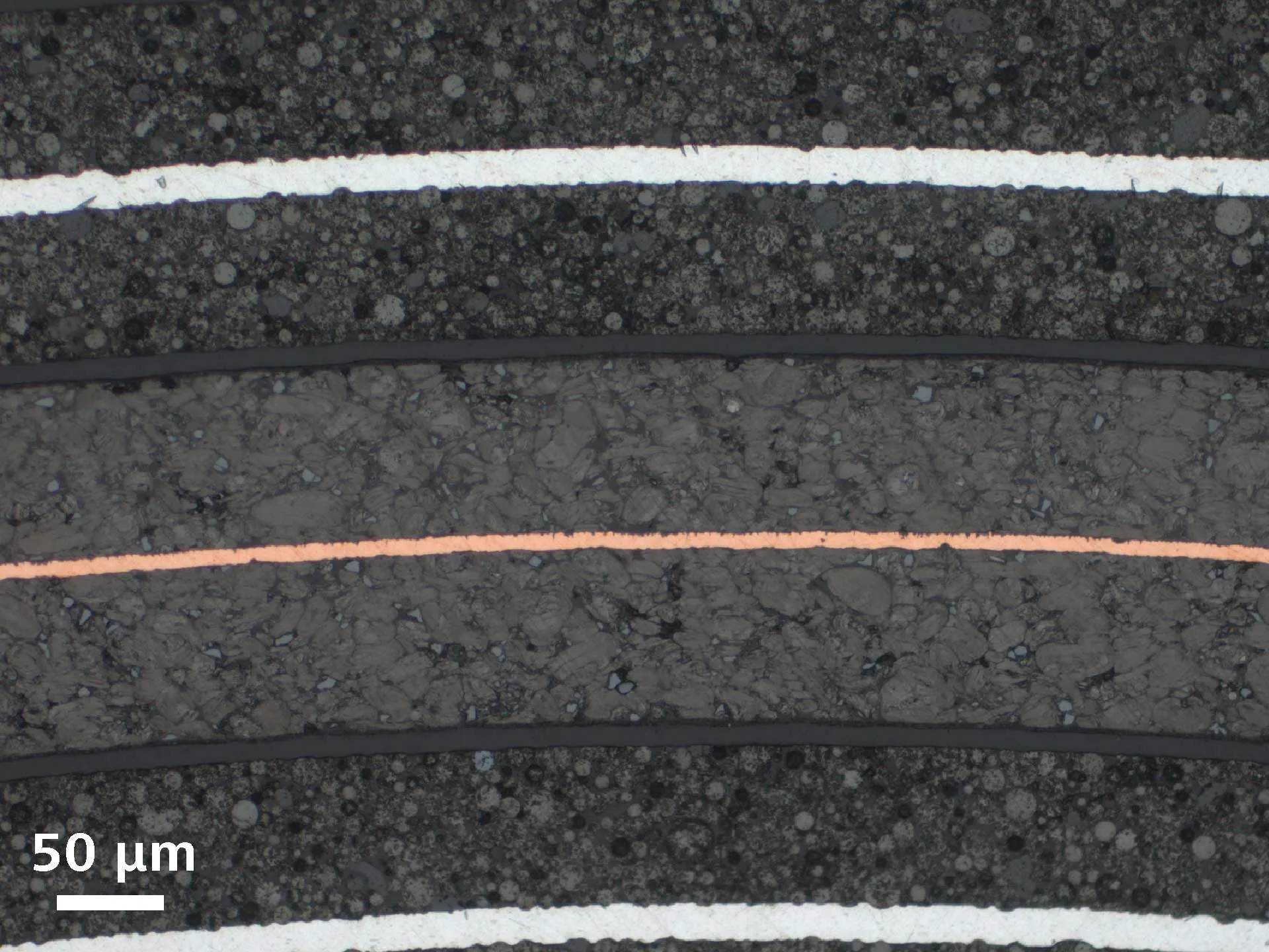 Tecnicas de contraste microscopio zeiss observer